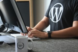 WordPress theme reviews rating criteria